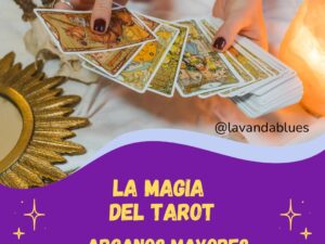 portada mayores.jpg